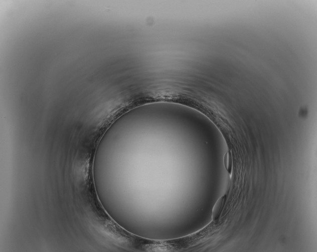 X0000090780652200707271550