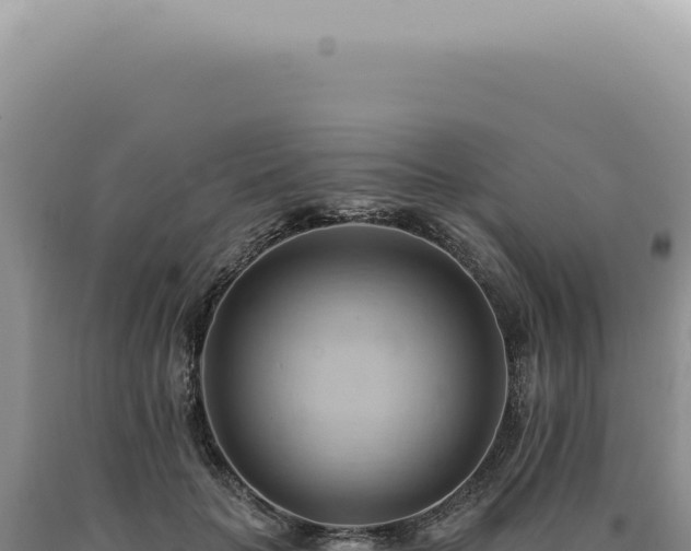 X0000090780653200707271550