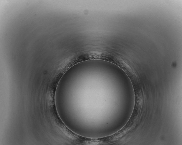 X0000090780661200707271550