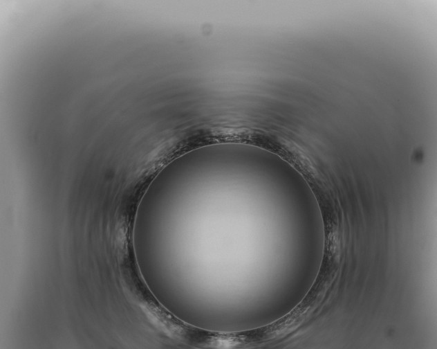X0000090780662200707271550