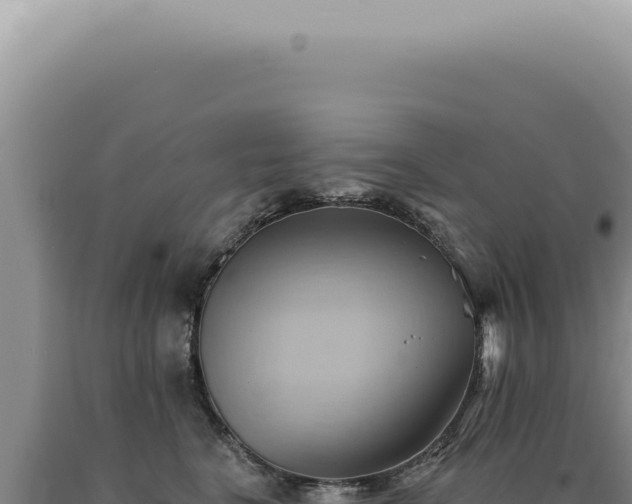 X0000090780664200707271550