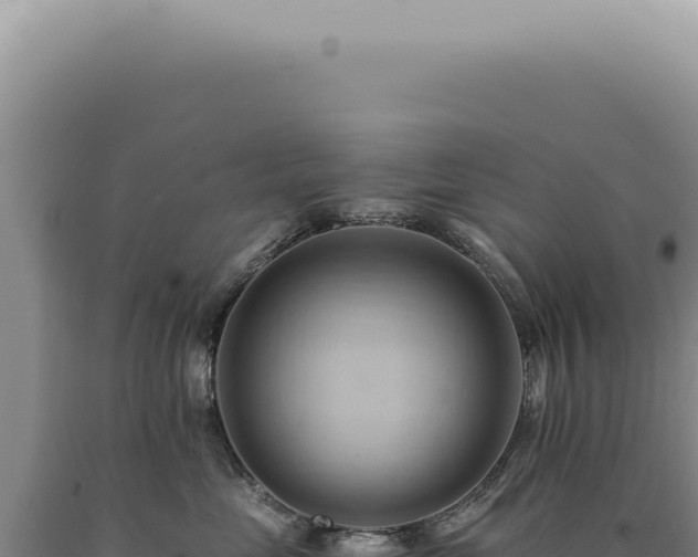 X0000090780669200707271550