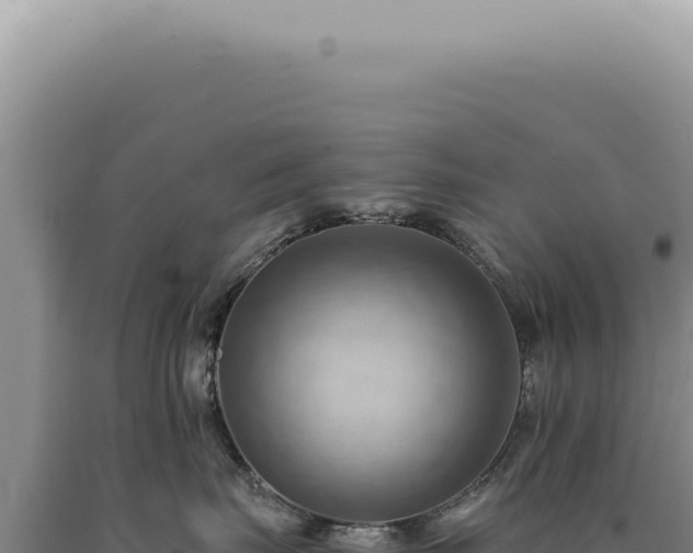 X0000090780671200707271550