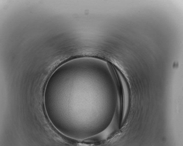 X0000090780673200707271549