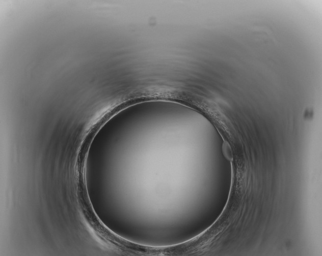 X0000090780674200707271549