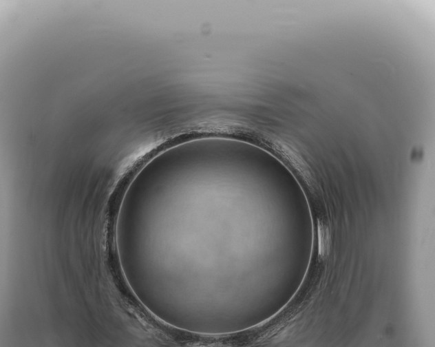 X0000090780675200707271549