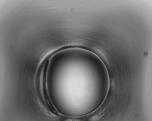 X0000090780676200707271549