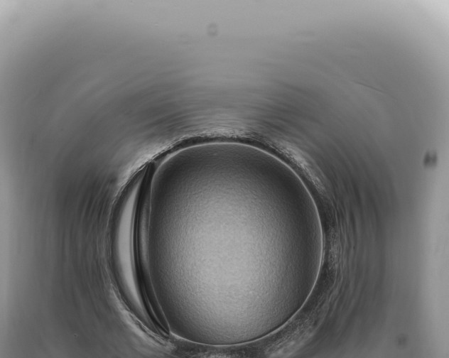 X0000090780677200707271549