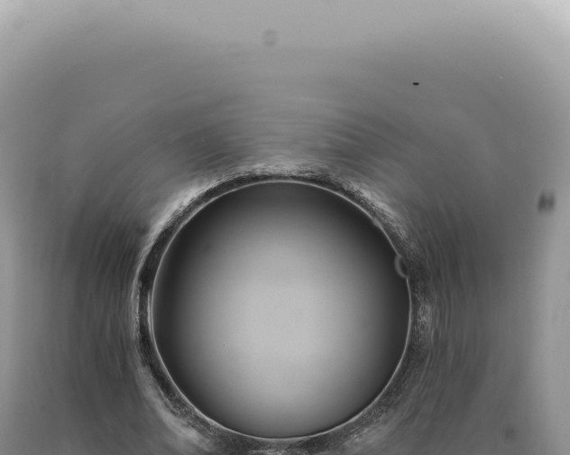 X0000090780678200707271549