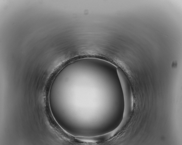 X0000090780680200707271549