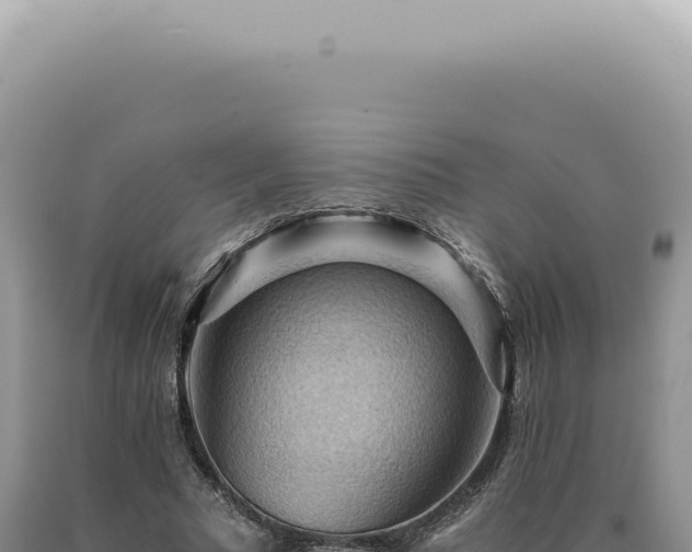 X0000090780681200707271549