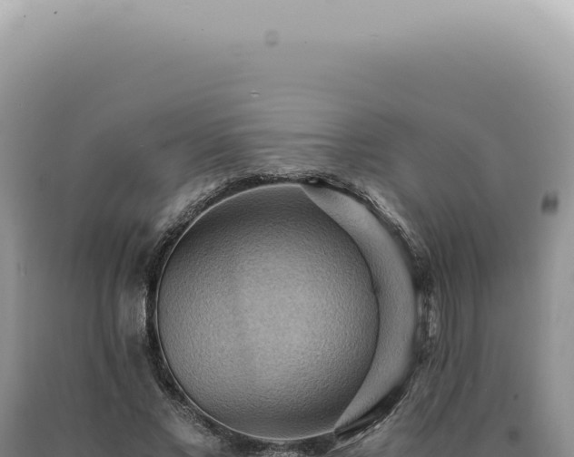 X0000090780685200707271549