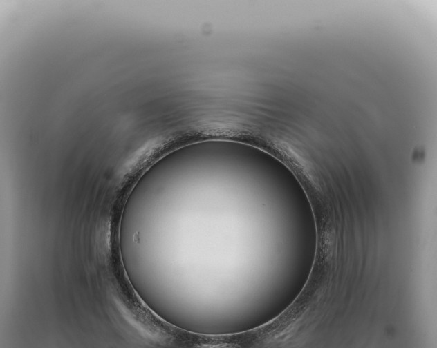 X0000090780686200707271549