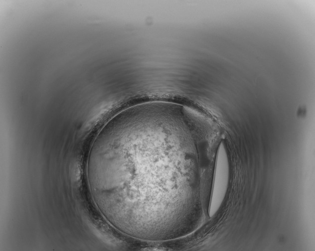 X0000090780687200707271549