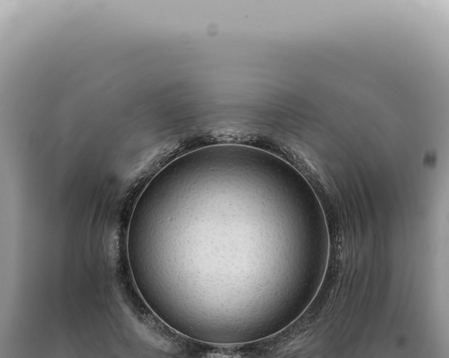 X0000090780690200707271549