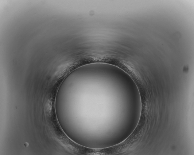 X0000090780691200707271549