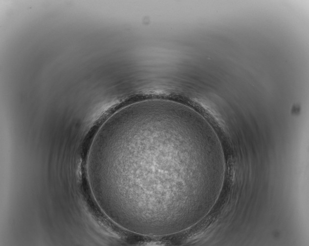 X0000090780692200707271549