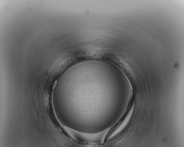 X0000090780693200707271549