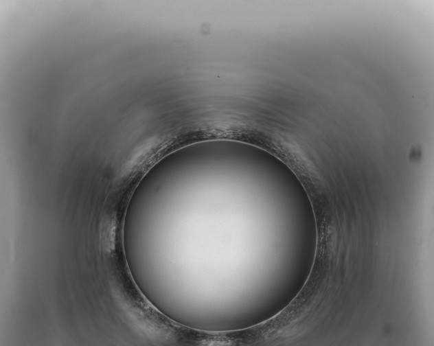 X0000090780694200707271549