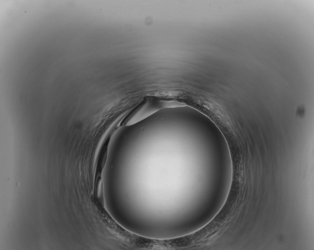 X0000090780697200707271549