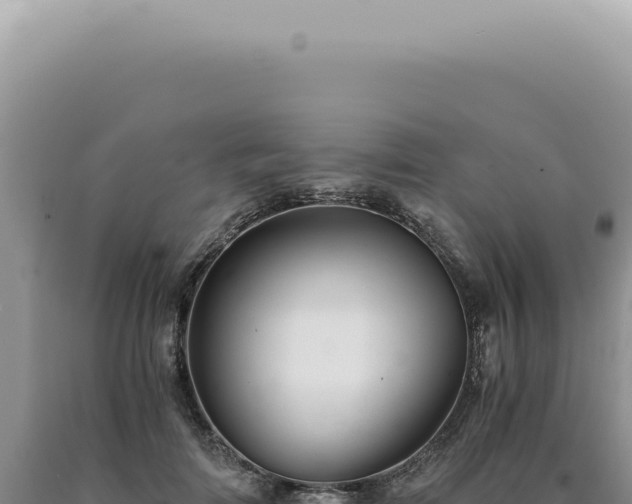 X0000090780698200707271549