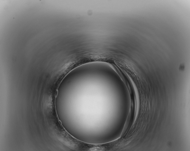 X0000090780700200707271549