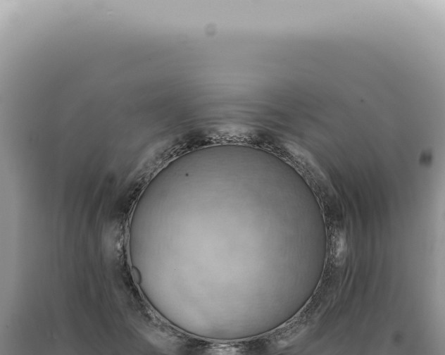 X0000090780701200707271549