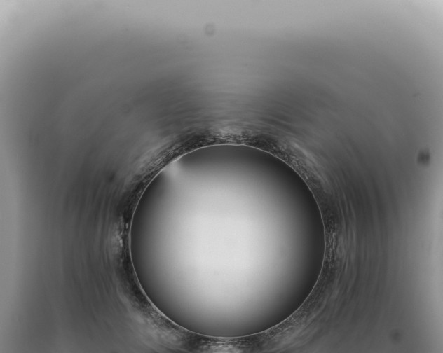 X0000090780702200707271549