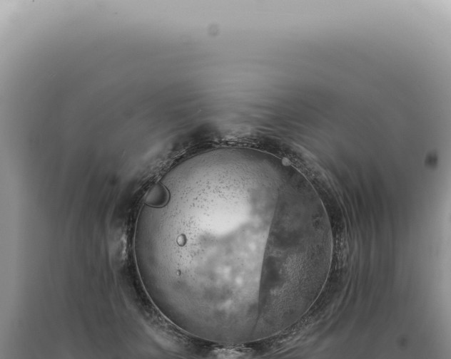 X0000090780703200707271549