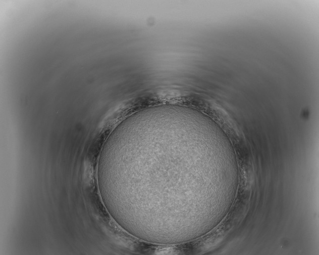 X0000090780705200707271549