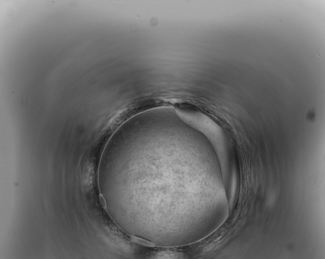 X0000090780708200707271549