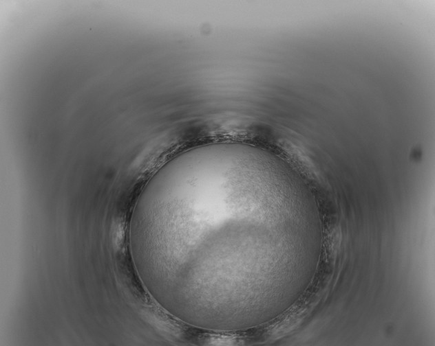 X0000090780709200707271549