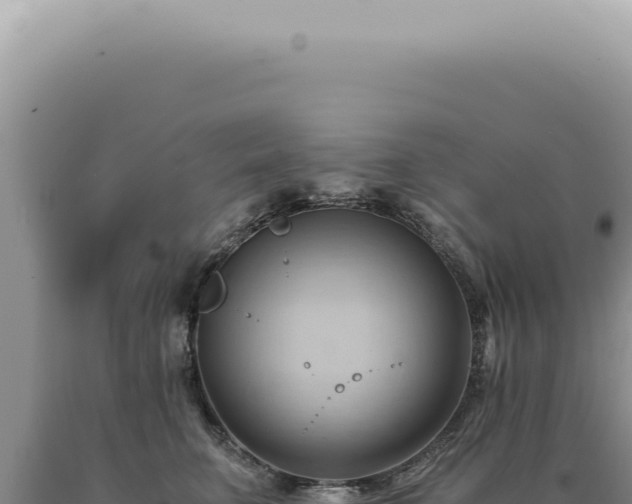 X0000090780711200707271549