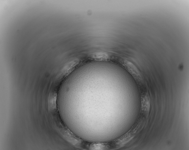 X0000090780717200707271549