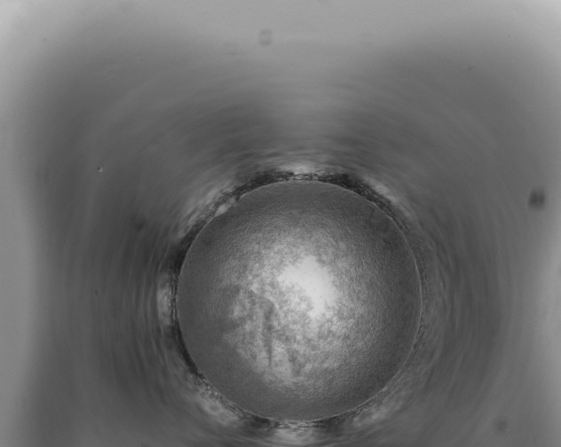 X0000090780720200707271549
