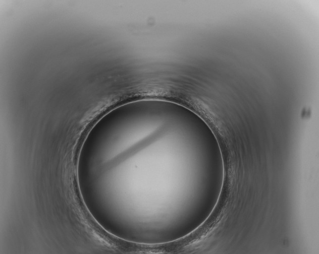 X0000090780721200707271548