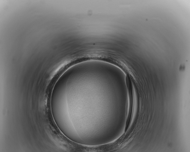 X0000090780723200707271548