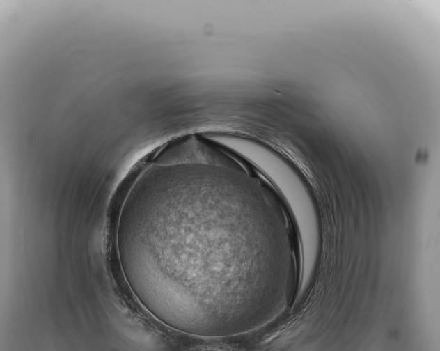 X0000090780724200707271548