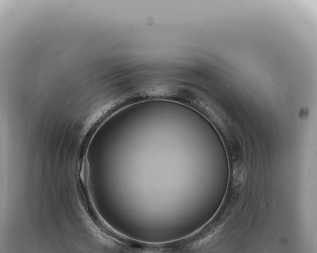 X0000090780725200707271548