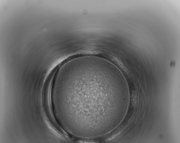 X0000090780726200707271548
