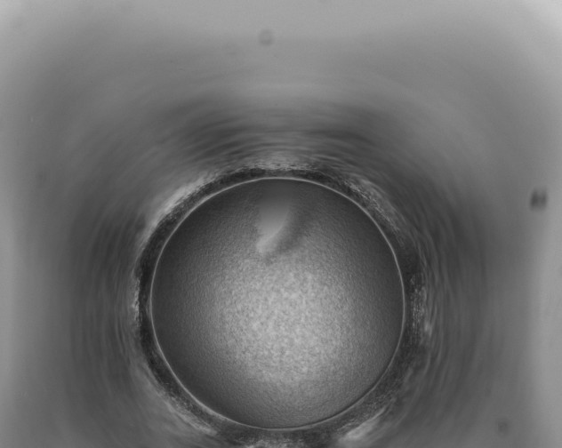 X0000090780727200707271548