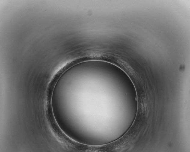 X0000090780728200707271548