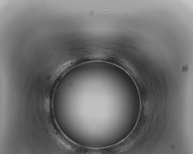 X0000090780729200707271548