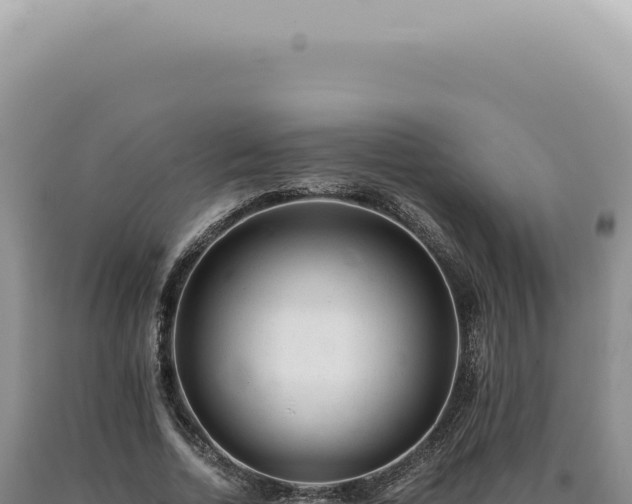 X0000090780730200707271548