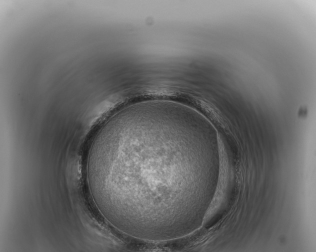 X0000090780731200707271548