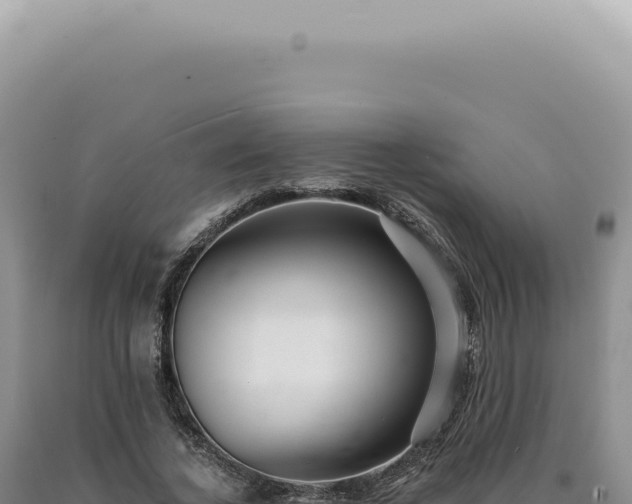 X0000090780732200707271548