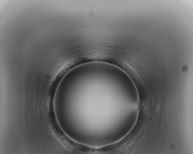 X0000090780735200707271548