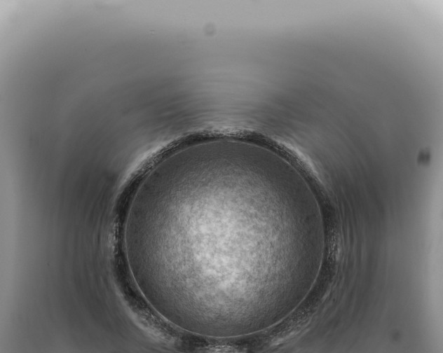 X0000090780736200707271548