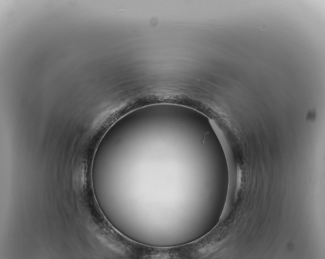 X0000090780740200707271549