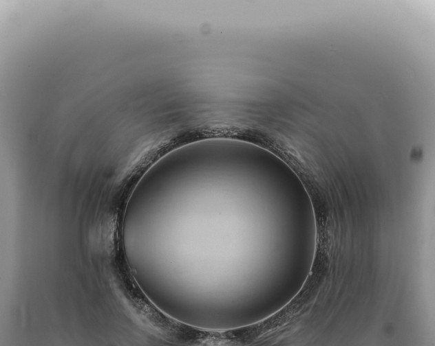 X0000090780742200707271549